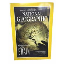 National Geographic Magazine June 1995 Quiet Miracles of the Brain Vintage b