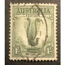 AUSTRALIA 1937 SG 0174'LYRE BIRD' USED