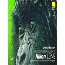 Wildlife Through A Nikon Lens