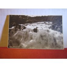 BETWS-Y-COED, Swallow Falls in flood unused vintage postcard by Judges 5482 #