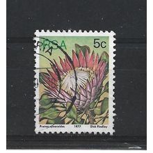 SouthAfrica.SG418 5c Protea Cynaroides.Fine Used.Sep25h