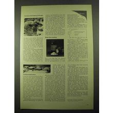 1969 Kodak Ad - Eastman White Reflectance Standard