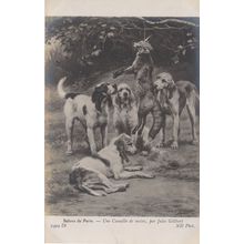 Hunting Dog Fox Killed Hung Eaten By Dogs Old Painting Postcard
