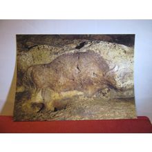 GROTTE de FONT DE GAUME, LES EYZIES-DE-TAYAC, DORDOGNE, FRANCE postcard (b) #