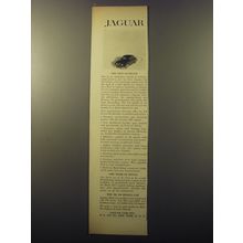 1960 Jaguar cars Advertisement