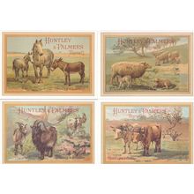 Huntley & Palmers Biscuits Farm Animals 4x Advertising Postcard s