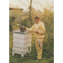 Wealdon Sussex WBC Bees Hive Beehive Roof Removal Postcard
