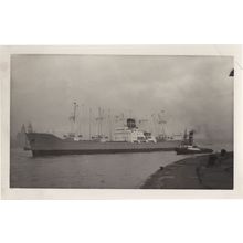 Sistina Cargo Ship New Zealand Route Vintage Rare Photo