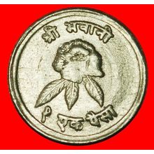 Ⰶ FLOWER (1971-1979): NEPAL ★1 PAISA 2031 (1974) SUN & MOON★LOW START★NO RESERVE