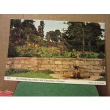 DRINKING CUP, CHALICE WELL, GLASTONBURY, Somerset. unused postcard H. Barton =