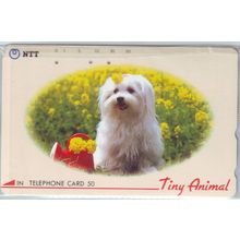 Dog In Flower Bed Japan NTT Phone Card