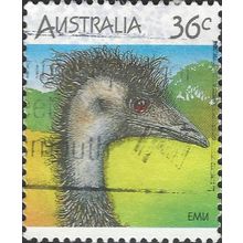 AUSTRALIA, BIRDS, Emu, Dromaius novaehollandiae, green 1986, 36c, #4