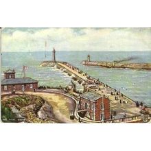 Yorkshire WHITBY Piers Tuck Oilette Postcard (6177)