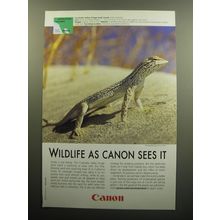 2009 Canon Photography Advertisement - Coachella Valley Fringe-Toed Lizard