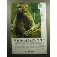 2009 Canon Photography Advertisement - Greater Bamboo Lemur