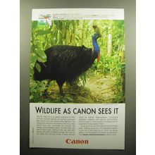 2009 Canon Photography Advertisement - Southern Cassowary