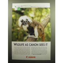 2009 Canon Photography Advertisement - Cotton-top Tamarin