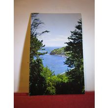 DURLSTON BAY AND HEADLAND, SWANAGE, DORSET used postcard PT2129 1966 pm =