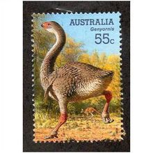 AUS 2008 55c 'MEGAFAUNA -GENYORNIS' FINE USED (EBID29-062)