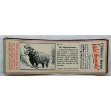 1955 Typhoo Wild Animals card 6 The Hippopotamus