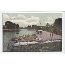 Parkers Ferry Surbiton Surrey Postcard PF1