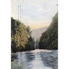 Wanganui River Drop Scene New Zealand 1908 Postcard