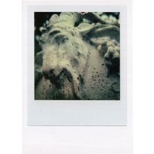 Rocky Mountain Shaped As Unicorn Horse Award Analog Photo Postcard