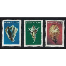 Brazil Shells Brazilian Molluscs 3v 1977 MNH SG#1666-1668