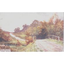 Between Beaulieu And Lyndhurst New Forest Hampshire Postcard (QHAM165)