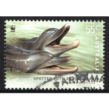 AUSTRALIA 2009: WWF ISSUE - DOLPHINS - 55c SPOTTED BOTTLENOSE DOLPHIN USED (G2)