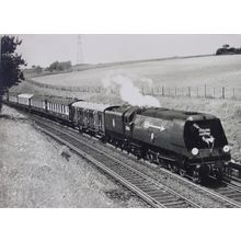 Old Trains 5 golden arrow post Poster Canvas Movie Film Print A0 A1 A2 A3 A4 A5