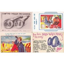 Bird Watching Peeping Tom With Binoculars 4x Antique & 1950s Comic Postcard s
