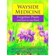 Wayside Medicine