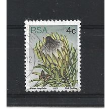 SouthAfrica.SG417 4c Protea Longifolia.Fine Used.Sep25f