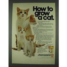 1978 Purina Kitten Chow Ad - How to Grow a Cat
