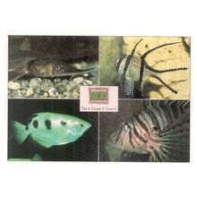 AQUARIUM, MULTIVIEW, Bristol Zoo Gardens, unused postcard #