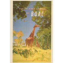 Fly BOAC Plane Flights To East Africa African Travel Advertising Postcard