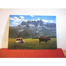 MORGINS, VALAIS, SWITZERLAND . used postcard 2005 postmark =