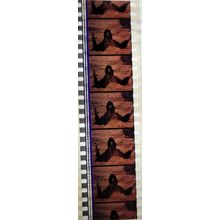 VAMPIRES. Pk MTP - A005e. 1 STRIP OF 5 - 35MM FILM CELLS. MTP