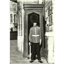 Berkshire WINDSOR Gateway Sentry Postcard (9929)