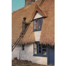 African Thatcher in Britain Thatching Crafts Postcard