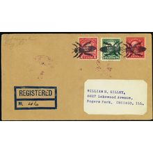 Fly in Black Three Strikes Fancy Cancel Registered Cover RARE! - Stuart Katz