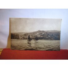 CATSPAWS OFF THE LAND by Henry Moore. unused postcard The Tate Gallery =