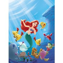 The Little Mermaid 11 Poster Canvas Movie Film Print A0 A1 A2 A3 A4 A5 A6 Art Wa