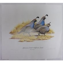 R.L. Kothenbeutel Limited ' AFTERNOON STROLL - CALIFORNIA QUAIL print SIGNED