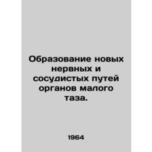 The formation of new nerve and vascular pathways of pelvic organs. /Obrazovanie