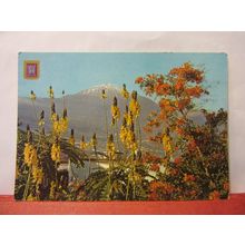 THE TEIDE, TENERIFE , SPAIN used postcard #