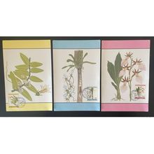 Côte d'Ivoire 1993 Mi. 1095 - 1097 Carte maximum Orchidées Orchideen fleurs