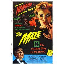 Maze 1953 01 Poster Canvas Movie Film Print A0 A1 A2 A3 A4 A5 A6 Art Wall Decora