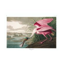 Mel IMG_6166 Poster Canvas Movie Film Print A0 A1 A2 A3 A4 A5 A6 Art Wall Decora